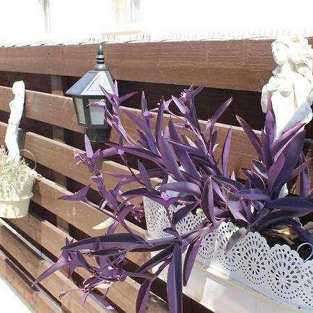 Ivoton Home Pafos Zewnętrze zdjęcie